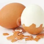 Telor Rebus